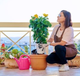 Donice na tarasie – jak stworzyć funkcjonalną i estetyczną przestrzeń?