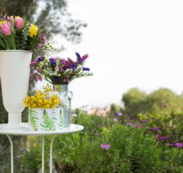 Wybór dekoracji ogrodu ze sklepu internetowego – kluczowe aspekty