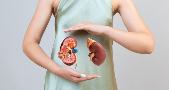 Korzeń pochrzynu – właściwości i zastosowanie w trosce o drogi moczowe