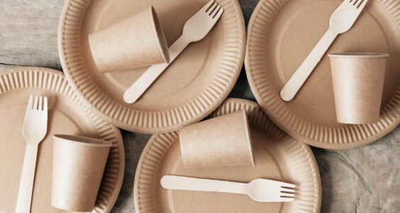 Ekologiczne i Funkcjonalne Opakowania Jednorazowe: Wybór dla Nowoczesnych Firm