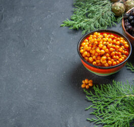 panrokitnik.pl – wyjątkowe produkty z rokitnika i ekstraktów grzybowych