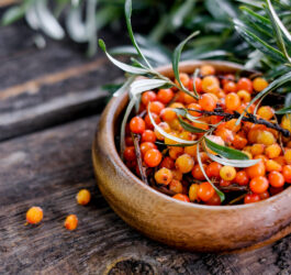 panrokitnik.pl naturalne wsparcie zdrowia i urody